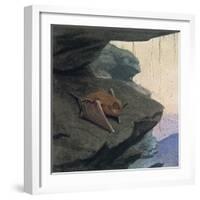 Free Tailed Bat-Louis Agassiz Fuertes-Framed Giclee Print