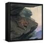 Free Tailed Bat-Louis Agassiz Fuertes-Framed Stretched Canvas