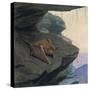 Free Tailed Bat-Louis Agassiz Fuertes-Stretched Canvas