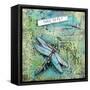 Free to Fly-Britt Hallowell-Framed Stretched Canvas