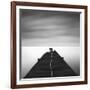 Free-Moises Levy-Framed Photographic Print