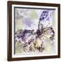 Free-Mindy Sommers-Framed Giclee Print