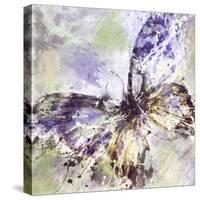 Free-Mindy Sommers-Stretched Canvas