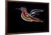 Freedom Bird-Rabi Khan-Framed Art Print