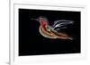 Freedom Bird-Rabi Khan-Framed Art Print