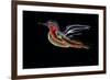 Freedom Bird-Rabi Khan-Framed Art Print