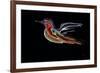 Freedom Bird-Rabi Khan-Framed Art Print