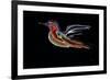 Freedom Bird-Rabi Khan-Framed Art Print