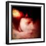 Freedom Exhibit 76-Gideon Ansell-Framed Premium Photographic Print