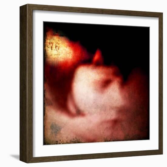 Freedom Exhibit 76-Gideon Ansell-Framed Photographic Print