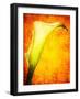 Freedom from Doubt-Doug Chinnery-Framed Photographic Print