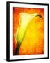 Freedom from Doubt-Doug Chinnery-Framed Photographic Print