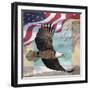 Freedom I-Todd Williams-Framed Art Print