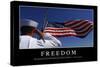 Freedom: Inspirational Quote and Motivational Poster-null-Stretched Canvas