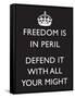 Freedom is in Peril, Defend It With All Your Might (Motivational, Black) Art Poster Print-null-Framed Stretched Canvas