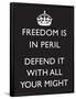 Freedom is in Peril, Defend It With All Your Might (Motivational, Black) Art Poster Print-null-Framed Poster