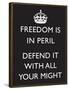 Freedom is in Peril, Defend It With All Your Might (Motivational, Black) Art Poster Print-null-Framed Poster