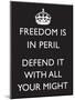 Freedom is in Peril, Defend It With All Your Might (Motivational, Black) Art Poster Print-null-Mounted Poster