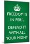 Freedom is in Peril, Defend It With All Your Might (Motivational, Green) Art Poster Print-null-Mounted Poster