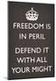 Freedom is in Peril, Defend It With All Your Might (Motivational, Grey) Art Poster Print-null-Mounted Poster