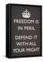 Freedom is in Peril, Defend It With All Your Might (Motivational, Grey)-null-Framed Stretched Canvas