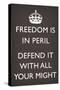 Freedom is in Peril, Defend It With All Your Might (Motivational, Grey)-null-Stretched Canvas