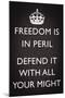 Freedom is in Peril, Defend It With All Your Might (Motivational, Grey)-null-Mounted Art Print