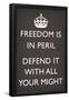 Freedom is in Peril, Defend It With All Your Might (Motivational, Grey)-null-Framed Poster