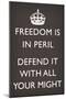 Freedom is in Peril, Defend It With All Your Might (Motivational, Grey)-null-Mounted Poster