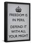 Freedom is in Peril, Defend It With All Your Might (Motivational, Light Grey) Art Poster Print-null-Framed Poster