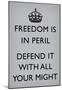 Freedom is in Peril, Defend It With All Your Might (Motivational, Light Grey) Art Poster Print-null-Mounted Poster