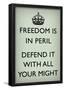 Freedom is in Peril, Defend It With All Your Might (Motivational, Mint Green) Art Poster Print-null-Framed Poster