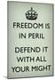 Freedom is in Peril, Defend It With All Your Might (Motivational, Mint Green) Art Poster Print-null-Mounted Poster