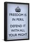 Freedom is in Peril, Defend It With All Your Might (Motivational, Pale Blue, Border) Art Poster-null-Framed Poster