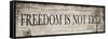 Freedom is Not Free-null-Framed Stretched Canvas