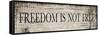 Freedom is Not Free-null-Framed Stretched Canvas