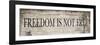 Freedom is Not Free-null-Framed Art Print