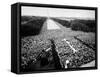 Freedom March During Civil Rights Rally, with View of Washington Memorial Monument in the Bkgrd-null-Framed Stretched Canvas