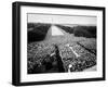 Freedom March During Civil Rights Rally, with View of Washington Memorial Monument in the Bkgrd-null-Framed Photographic Print
