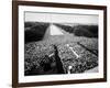 Freedom March During Civil Rights Rally, with View of Washington Memorial Monument in the Bkgrd-null-Framed Photographic Print