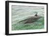 Freedom of a Bottlenose Dolphin (Tursiops Truncatus).-Stephen Frink-Framed Photographic Print