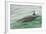 Freedom of a Bottlenose Dolphin (Tursiops Truncatus).-Stephen Frink-Framed Photographic Print