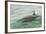 Freedom of a Bottlenose Dolphin (Tursiops Truncatus).-Stephen Frink-Framed Photographic Print