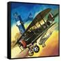 Freedom of the Skies: Yankee Super Ace. Edward Rickenbacker-Wilf Hardy-Framed Stretched Canvas