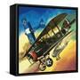 Freedom of the Skies: Yankee Super Ace. Edward Rickenbacker-Wilf Hardy-Framed Stretched Canvas