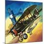 Freedom of the Skies: Yankee Super Ace. Edward Rickenbacker-Wilf Hardy-Mounted Giclee Print