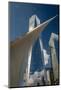 Freedom Tower and Oculos - seen from World Trade Center, NY, NY-null-Mounted Photographic Print