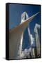 Freedom Tower and Oculos - seen from World Trade Center, NY, NY-null-Framed Stretched Canvas