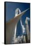 Freedom Tower and Oculos - seen from World Trade Center, NY, NY-null-Framed Stretched Canvas