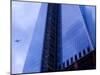 Freedom Tower, Manhattan, New York City-Sabine Jacobs-Mounted Photographic Print